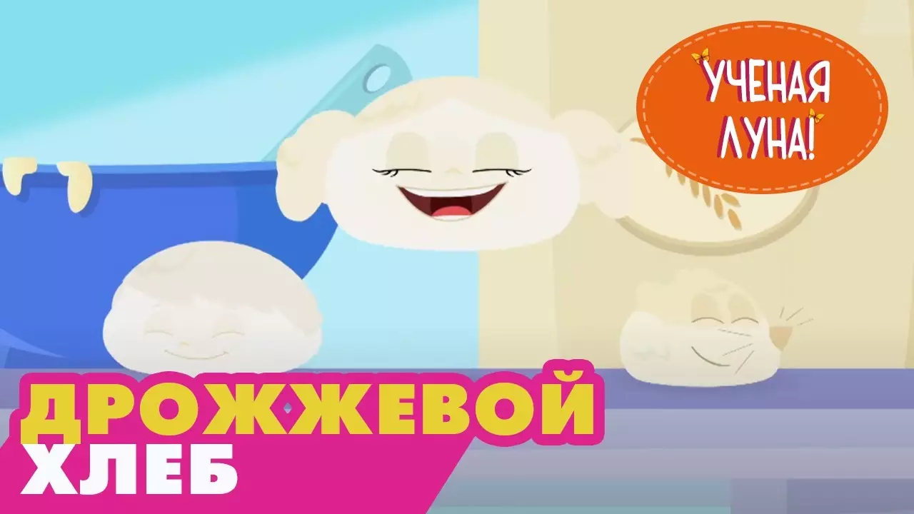 УЧЕНАЯ ЛУНА! (19 серия) (2014) мультсериал